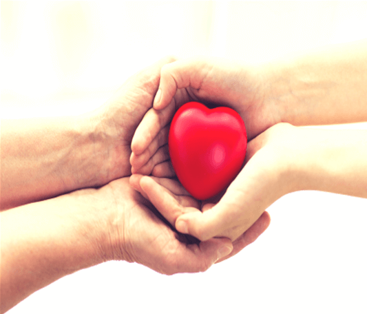 Two sets of hands holding a red heart